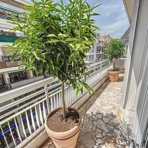 Property in Musicians Quarter