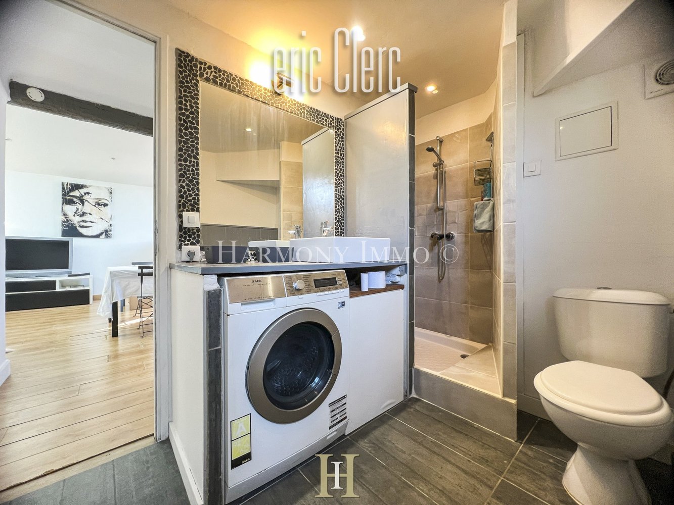 Property photo in Carre d'Argent