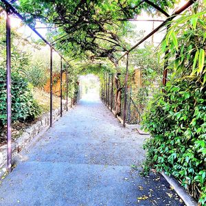 Property in Carre d'Or