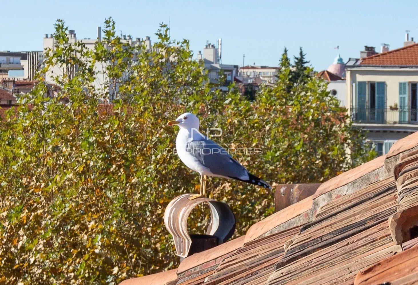 Property photo in Carre d'Or