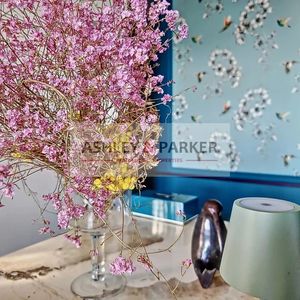 Property in Old Town