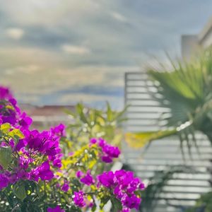 Property in Musicians Quarter