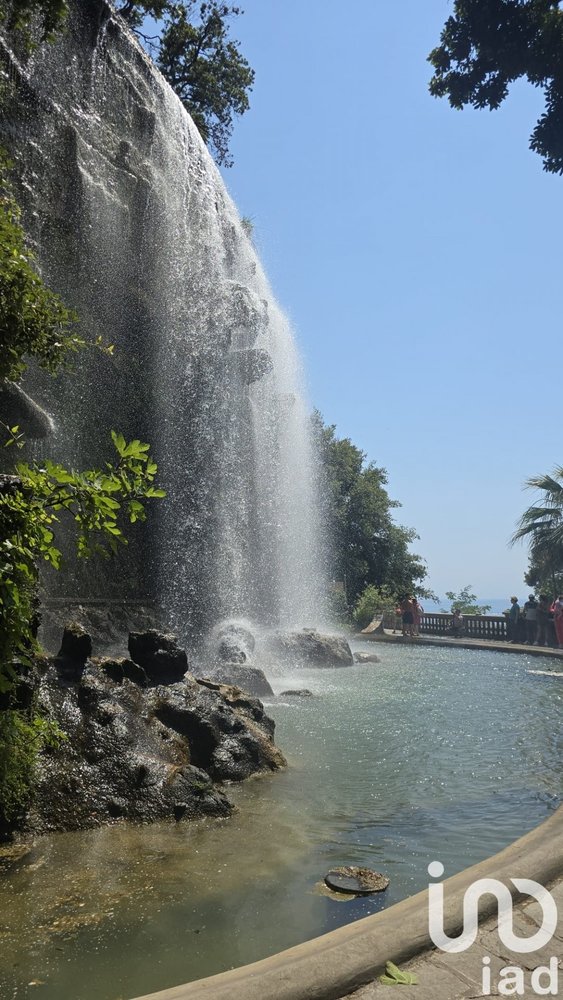 Property photo in Old Town