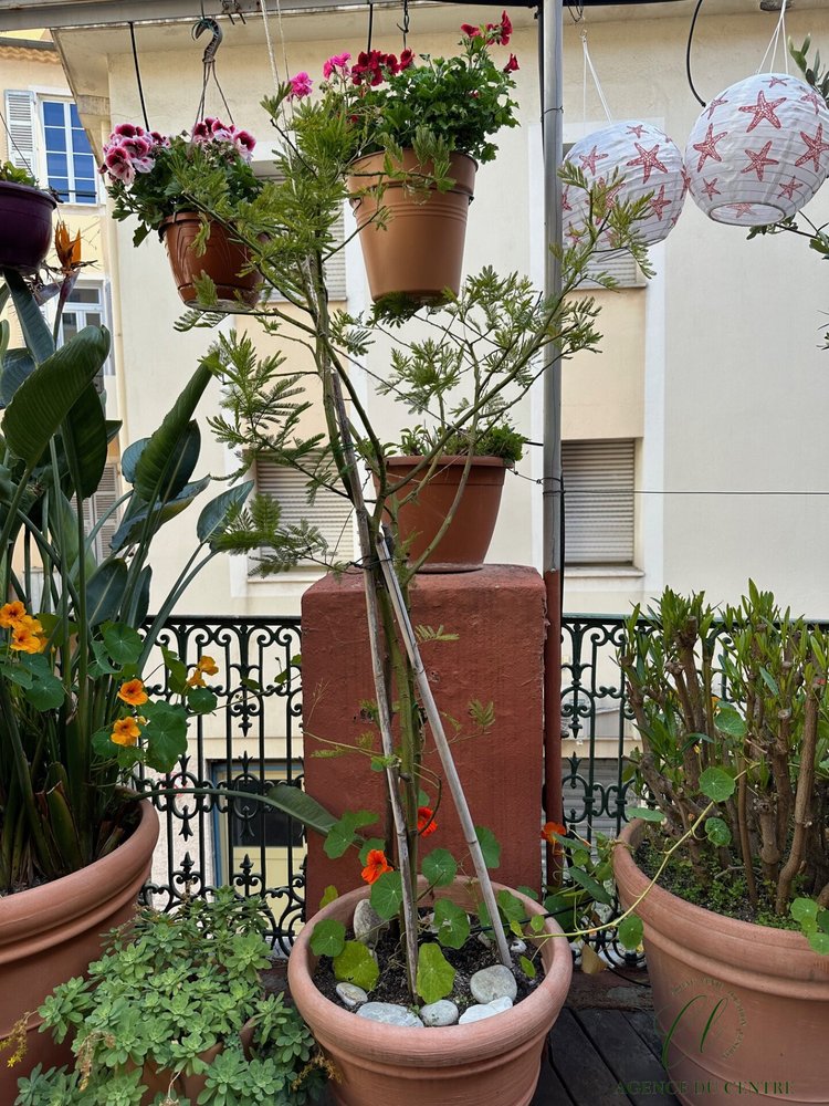 Property photo in Port