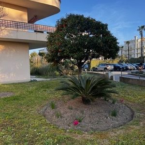 Property in Musicians Quarter