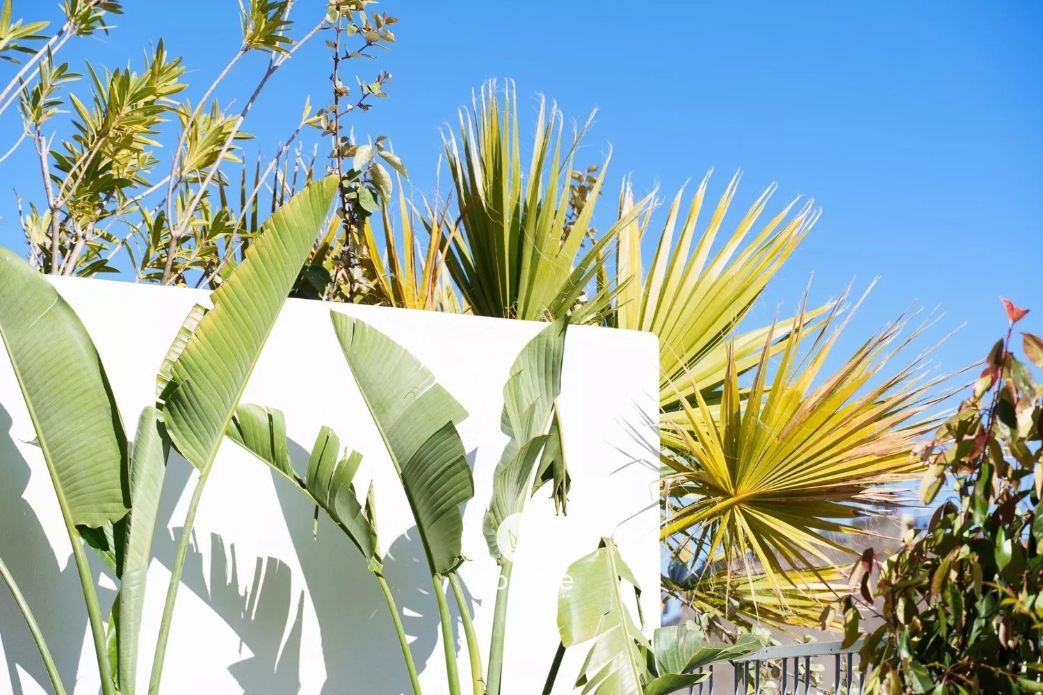 Property photo in Carre d'Argent