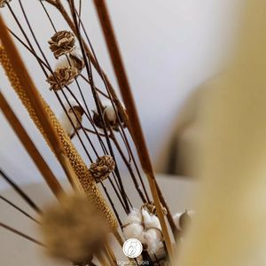 Property in Old Town