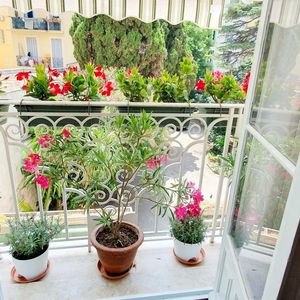 Property in Carre d'Or