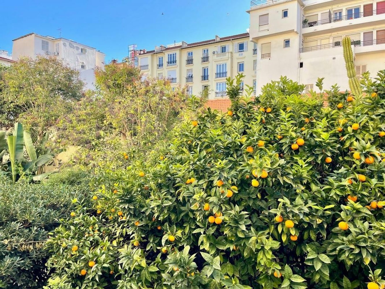 Property photo in Carre d'Or