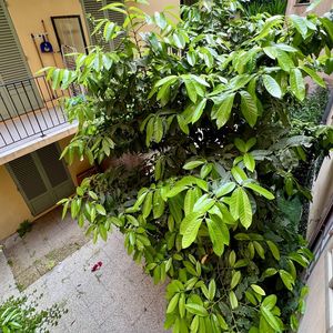 Property in Old Town