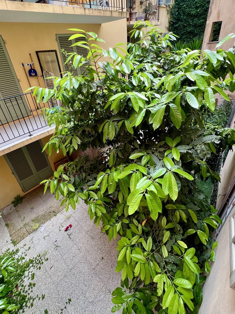 Property photo in Old Town