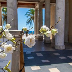 Property in Old Town