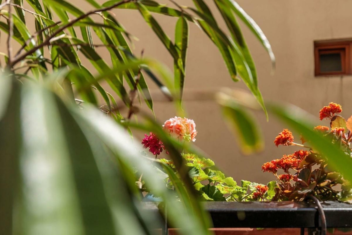 Property photo in Port