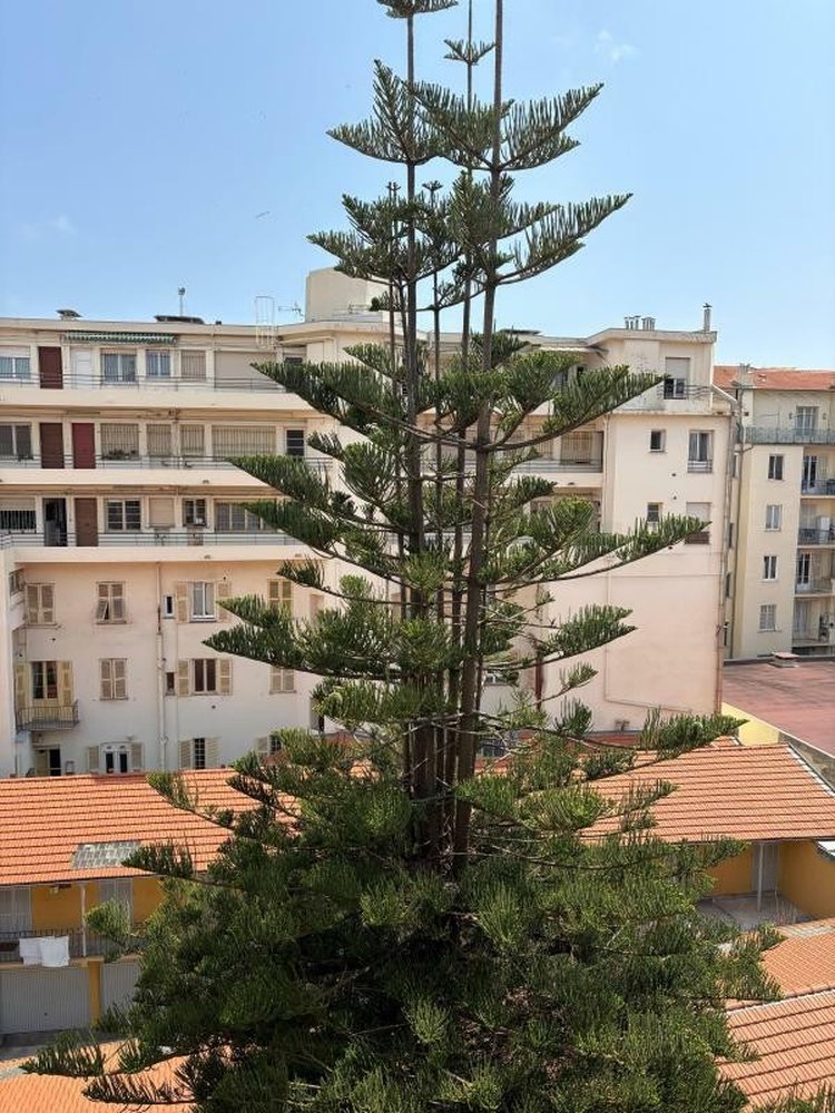 Property photo in Carre d'Or