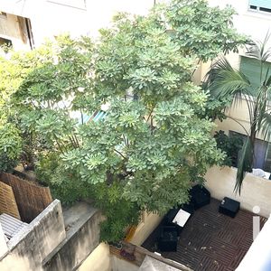 Property in Musicians Quarter