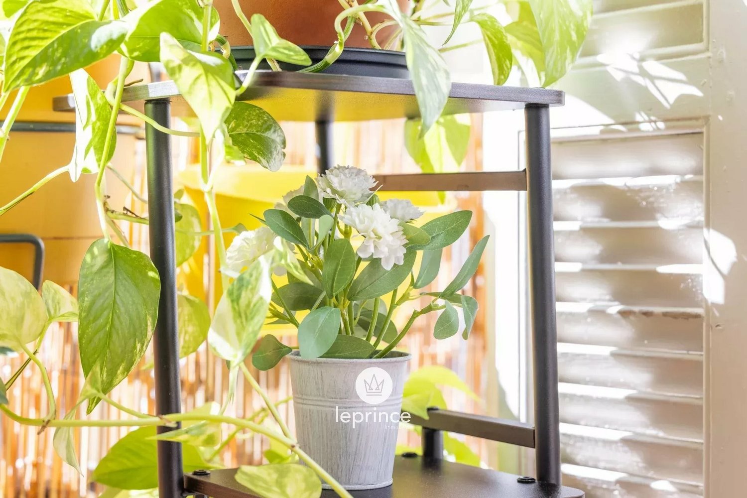 Property photo in Carre d'Or