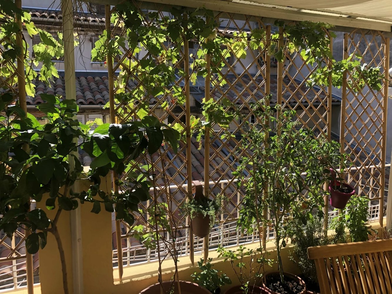 Property photo in Old Town