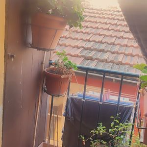 Property in Old Town