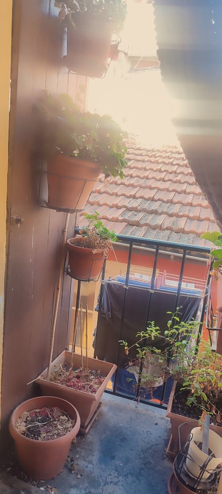 Property photo in Old Town