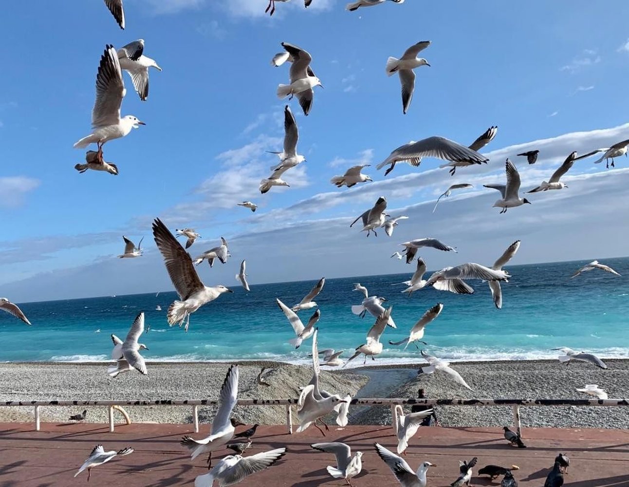 Property photo in Carre d'Or