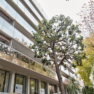 Property in Carre d'Argent