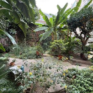 Property in Musicians Quarter