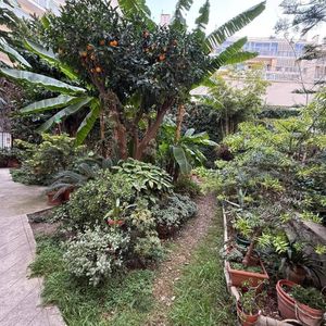 Property in Musicians Quarter