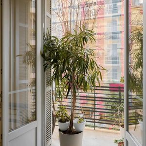 Property in Musicians Quarter