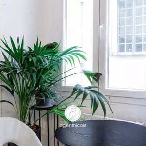 Property in Old Town