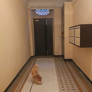 Property in Old Town