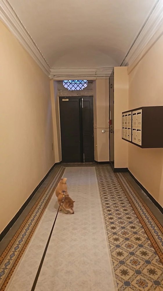 Property photo in Old Town